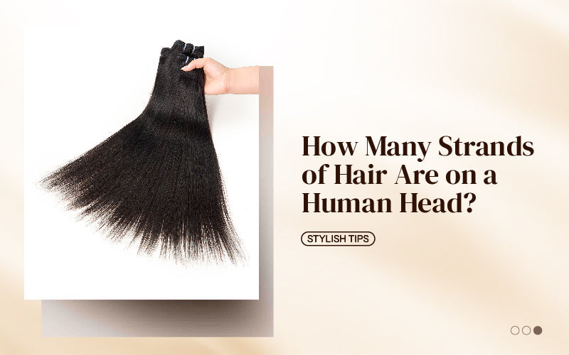 How Many Strands of Hair Are on a Human Head?